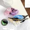 Sweet Sperm Whale Shark Clip Acetic Acid Animal Hair Clip Work Acetate Fish Hair Claw  Friends