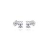 Silver Earrings Sc24A31E