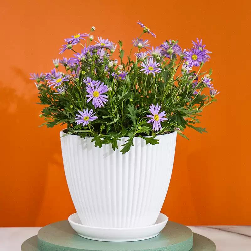 Thickened Plastic Resin Flower Pot: Imitation Ceramic with Vertical Stripes, Colored for Succulents and Floral Decor.