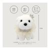 [HAYAOKIYASAN] Recital Gift Plush Keychain Puppy Ballet Piano Girl Elementary Middle School Birthday Cute Ecru Muslin Bag Ribbon Tied