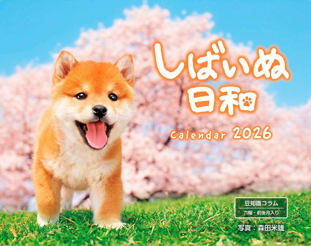 2026 Shiba Inu Weather Calendar x Calendar (Monthly/Wall-hanging/600mm 380mm) (Impress 2026)