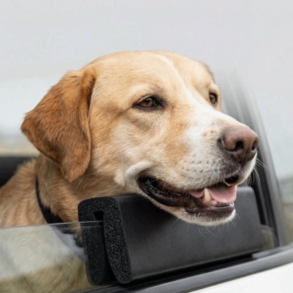 Fensterbankauflage Haustier-Kinnstützkissen Hund Auto-Sitzzubehör Hund Auto-Fenster Kopfstütze Fahrzeugnutzung