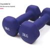 WEZHO Hexagonal Dip-Coated Dumbbell