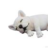 Action Figures, Small Dog Model, Miniature Resin Animal Statues, Desktop Decoration for Toys