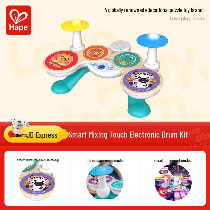 Hape Children s Musical Toy Collection