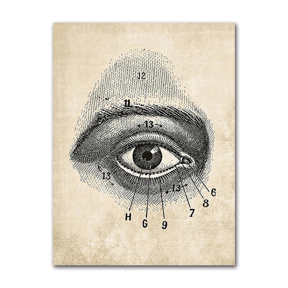 Wandbilder für Krankenhaus, Arzt, Büro, Dekor, Wandkunst, Leinwand, Malerei, Anatomie, Skelett, nordische Poster und Drucke, Vintage