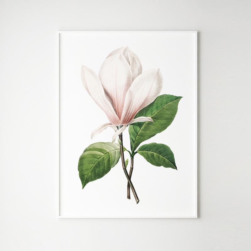 Plakat kwiat magnolia retro vintage