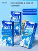 Net Cooling Ice Patch for Mobile Phone Heat Dissipation, Summer Cooling Solution for Students During Military Training, a Cool and Refreshing Remedy