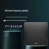 FionTu Professional Conference Subwoofer (CN version)