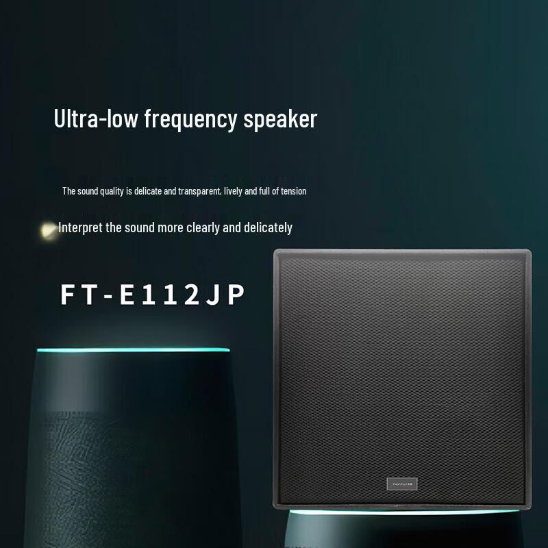FionTu Professional Conference Subwoofer (CN version)