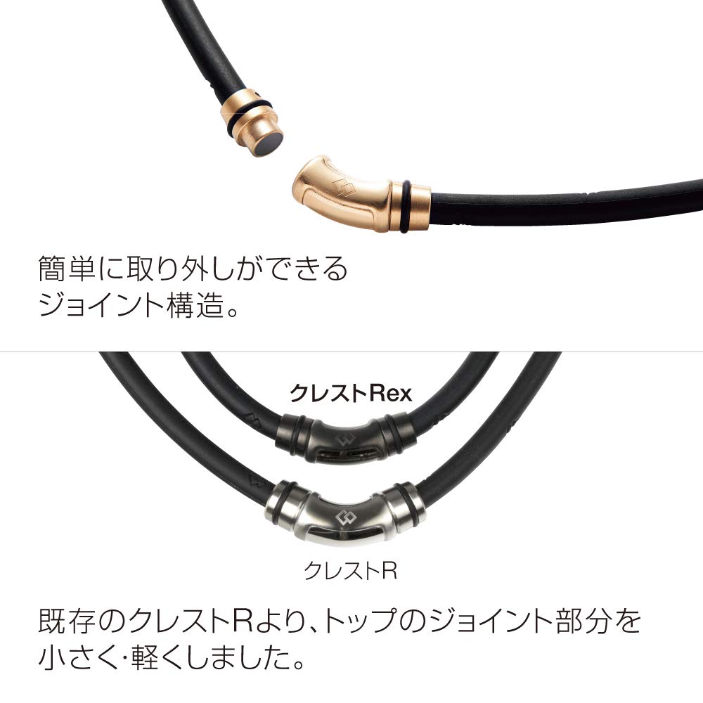 Colantotte Necklace Crest R Ex Premium Black L ABAPV53L