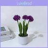 Simulation Epaltes Australis Less Pot Plant With Base For Home Office And Wedding Decorations