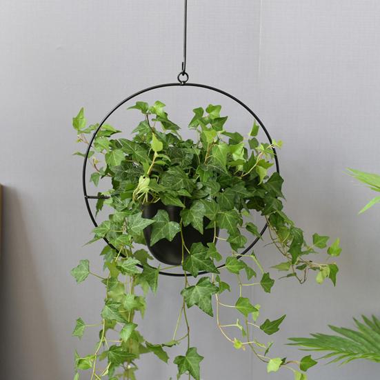 Jardinieră agățată suculentă, creativă, robustă, detașabilă, cu lanț de flori pentru grădină