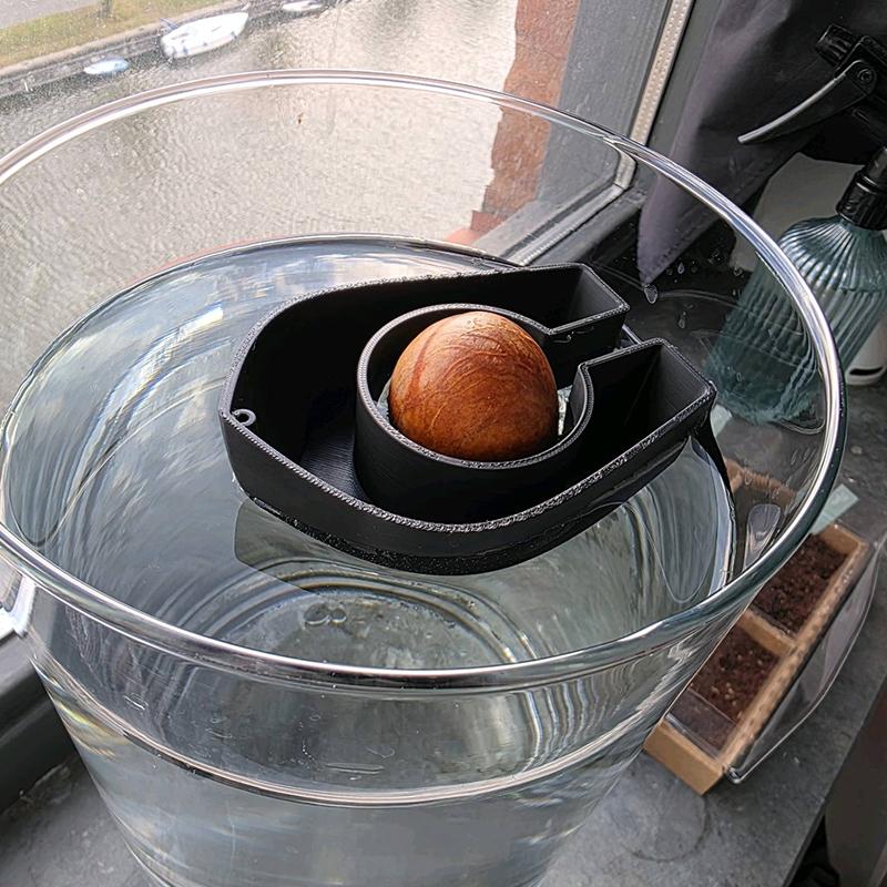 Colorful Avocado Boat-Shaped Floating Hydroponic Flower Pots Avocado Tree Growing Kit Hydroponic Seed Starter Without Seeds