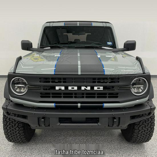 Bronco Wild Horse Car Hood & Pinstripe Stickers for Decoration & Modification