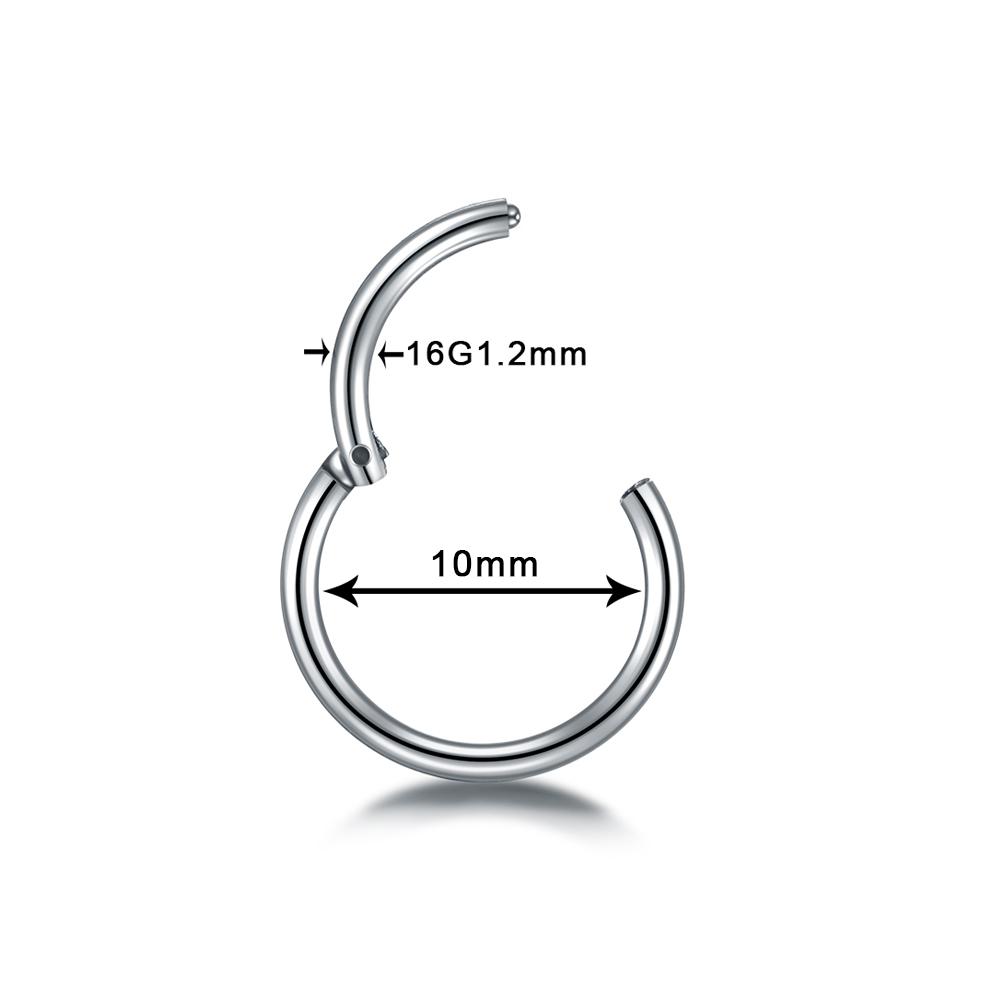 6/8/10/12mm Stainless Steel Nose Rings Hoop for Women Men 18G 16G Cartilage Piercing Body Jewelry Segment Lip Ring