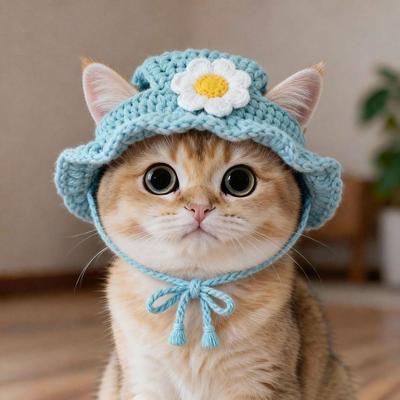 Refined Elastic Cat Knitted Hat Soft Handmade Craft Pet Cosplay Headwear Comfortable To Wear Warm Warm Cat Beanie Pets Wearing