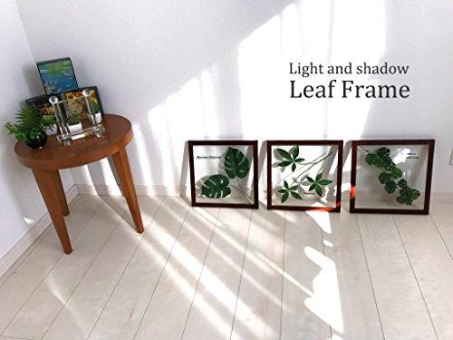 Handgefertigtes japanisches Blattpaneel, Monstera Deliciosa 3, Hergestellt aus Ayu-Stroh, Inklusive Aufstellanleitung. Wandmontiertes, gerahmtes Blattpaneel, Kunstpaneel, Li