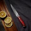 67 vrstev damaškové oceli užitkový nůž G10 rukojeť kuchyňské nože nůž na krájení ovoce škrabka