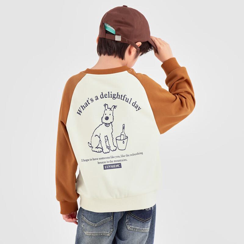 Boy s 2025 Autumn Contrast Raglan Sleeve Animal Print Sweatshirt 110