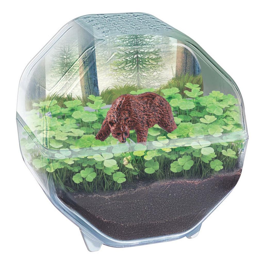 Mini Terrarium - Clementoni - Ours - Jeu de sciences et d'expériences - Des 7 ans - Fabriqué en Italie