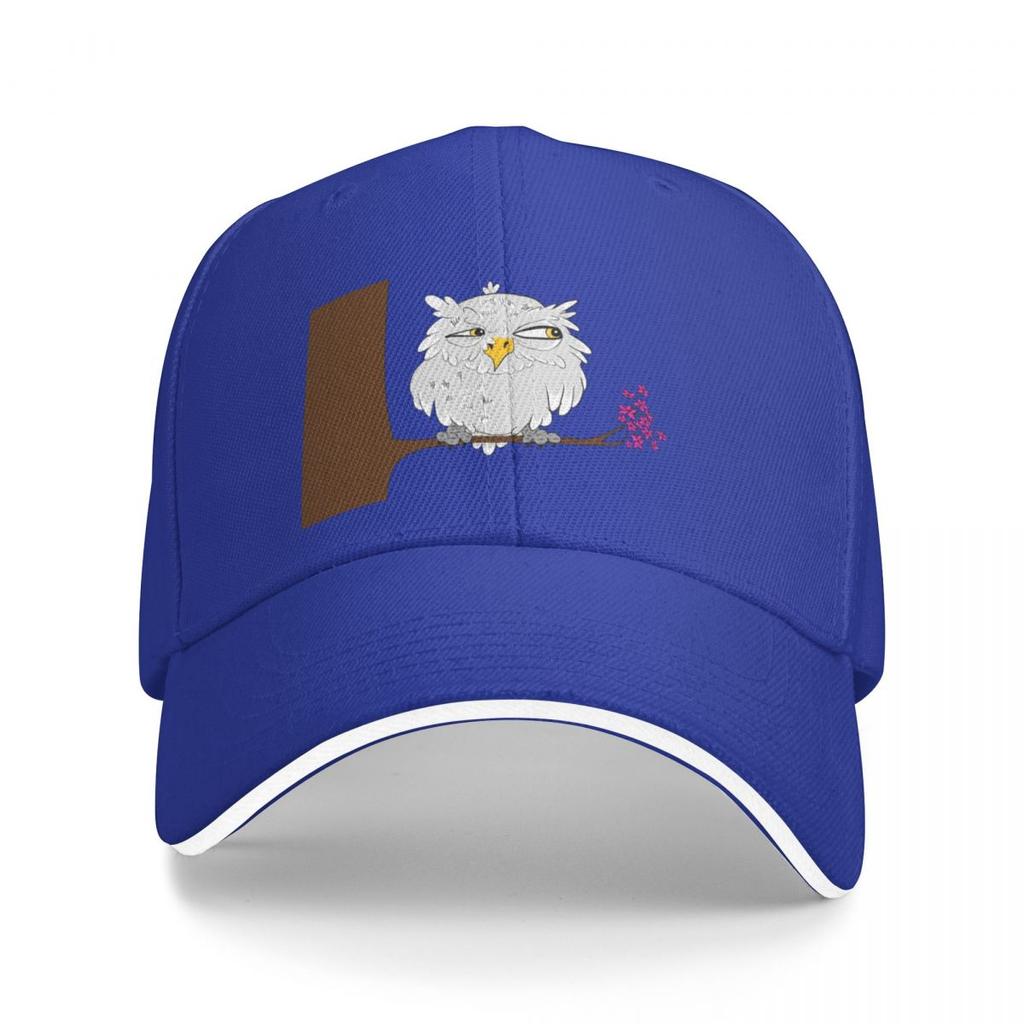 Suspicious Owl Baseball Cap Fluffy Hat Tea Hats Hats Man Women'S