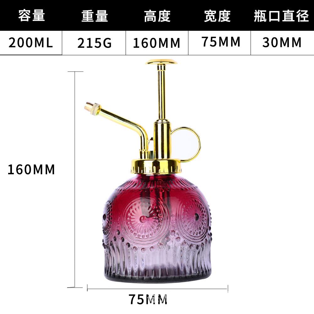 European Colorful Embossed Glass Watering Can Home Gardening Watering Sprinkler Kettle Succulent Plant Spray Can Gardening Decor