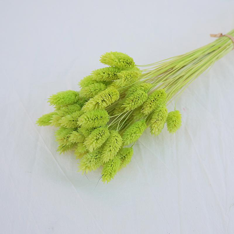 Natural Dried Statice Flower Bouquet - Everlasting Decoration for Vase & DIY Arrangements