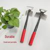 Multi-Functional Weeding Tools: Hoe, Rake, Soil Loosener, Shovel & Root Puller for Wild Vegetables