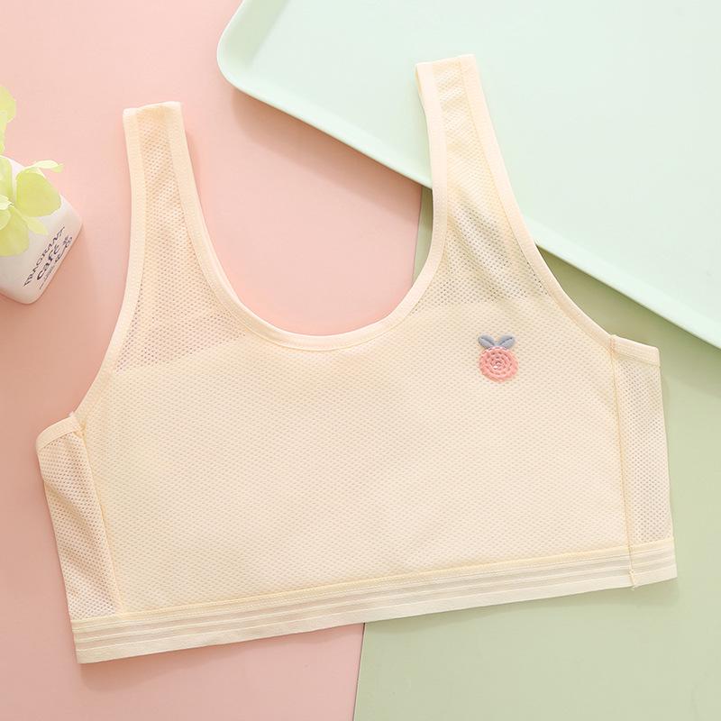 

Breathable Mesh Sports Bra for Girls, Ages 7-14, Junior High Vest Style XL [90-120 lbs]