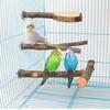 Parrot Perch Stand - Bird Cage Accessory and Toy Platform