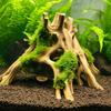Aquarien Treibholz Dekoration Baumwurzel Verstecke für Fische und Garnelen Ruheplatz Laichplatz und Unterschlupf Natürliche Haltbarkeit
