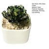 Handmade Mini Glass Flower Figurine Cute Hand Blown Small Faux Crystal Flower Bouquet In Pot Gift for Mother's Day Birthday Christmas DIY Craft