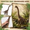 Large Realistic Brachiosaurus Dinosaur Model Figure Toy Gift for Kids