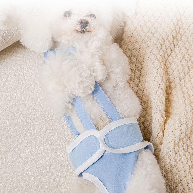 

Dog belly pocket physiology pants washable dog diapers teddy menstruation safety pants anti-harassment pet supplies dog clothes L (recommended weight 15-15 kg)