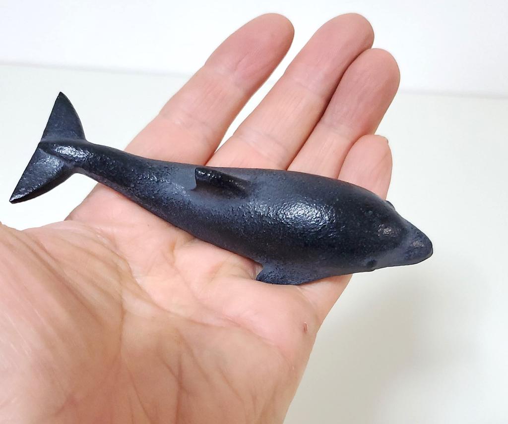 A miniature dolphin to accompany your dry landscape garden