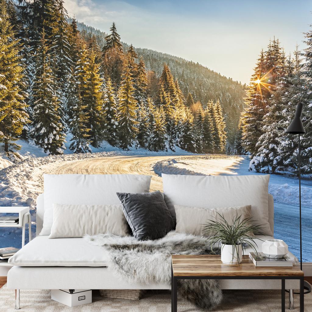 Photomural Winter Forest Smooth Vinyl 360x240