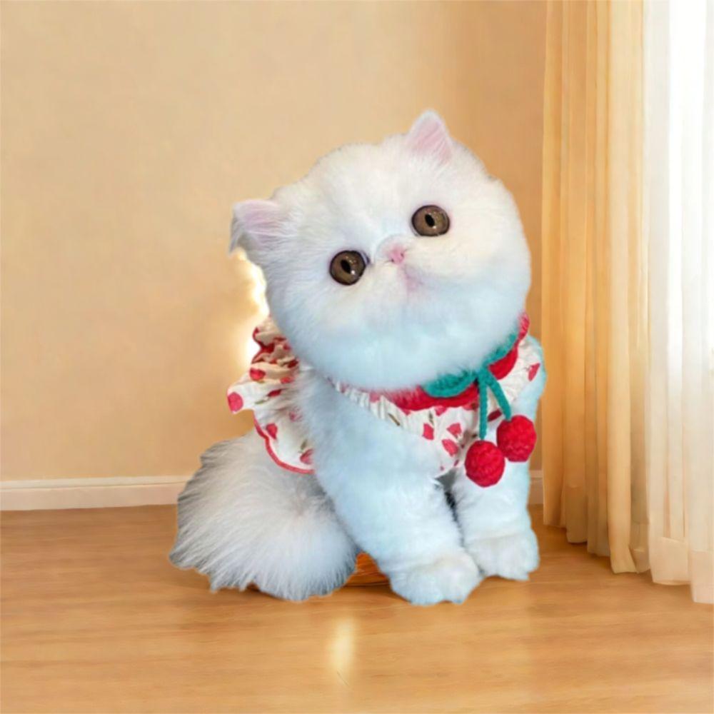 Soft Pet Princess Dresses Cute Dog Vest Skirt Comfortable Pet Summer Clothes  Kittens