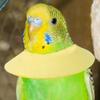 Weiche Vogelhalsbänder Atmungsaktives Vogel-Elisabethhalsband Bequemes Weiches Halsband Schutzkegel für Nymphensittich