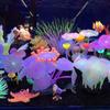 With Sucker Durable Fish Tank Ornament Aquarium Water Grass Artificial Plants Simulation Mushroom