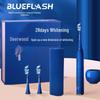 BLUE FLASH Sonic Electric Toothbrush