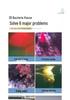 Ceramic Rings & Quartz Balls for Aquarium Nitrifying Bacteria Cultivation and Water Purification.