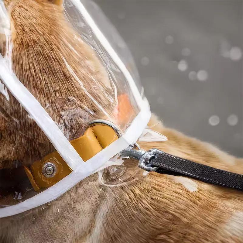 XS/8XL Pet Raincoat Transparent Dog Raincoat Waterproof and Windproof Pet Clothing Large Dog Pet Dog Dog Costume