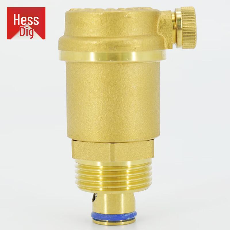 Hesdige Messing Automatische Ontluchter