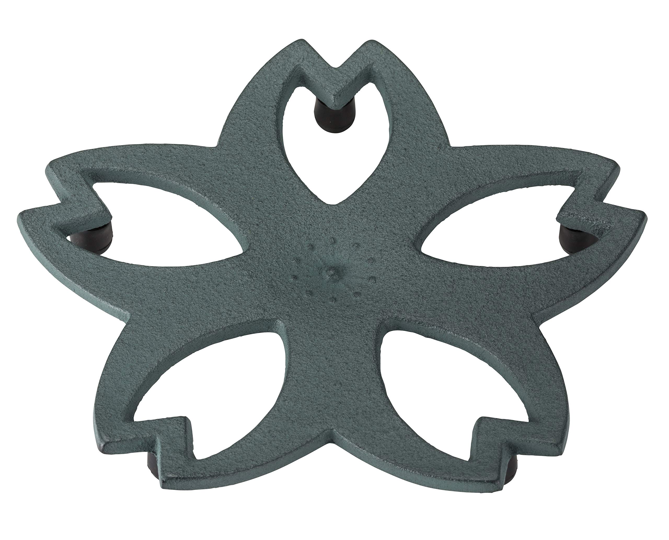 

Ikenaga Iron Works Жизнь с железом Железо Намбу Камасики Сакура (большой) Доступна подарочная упаковка из зеленого бамбука