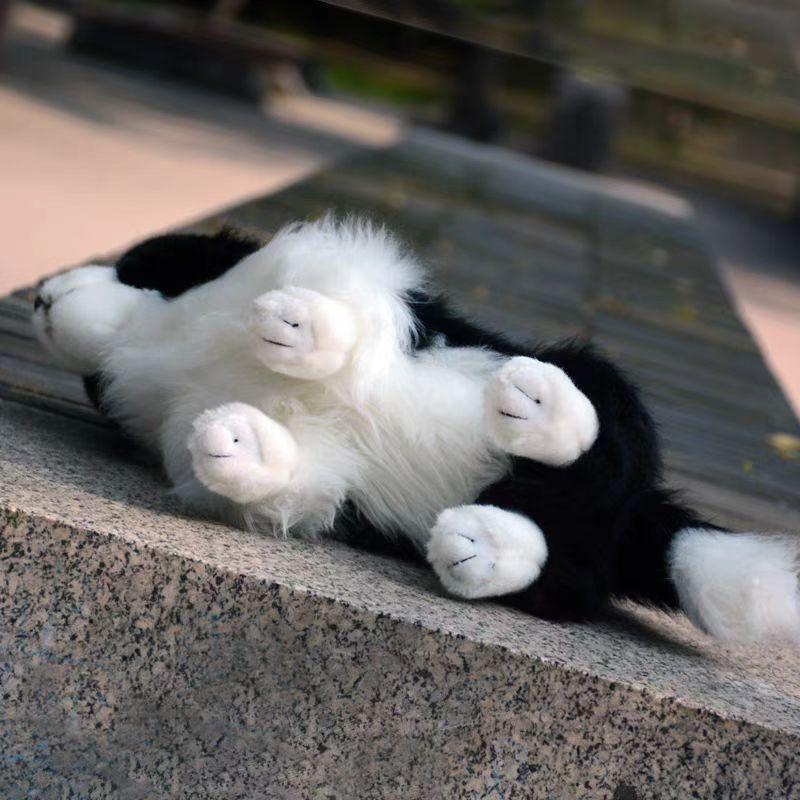 Border Collie Kuscheltier Hund 11,8 Zoll Kinder Kuscheltier Perfektes Geschenk für Jungen und Mädchen