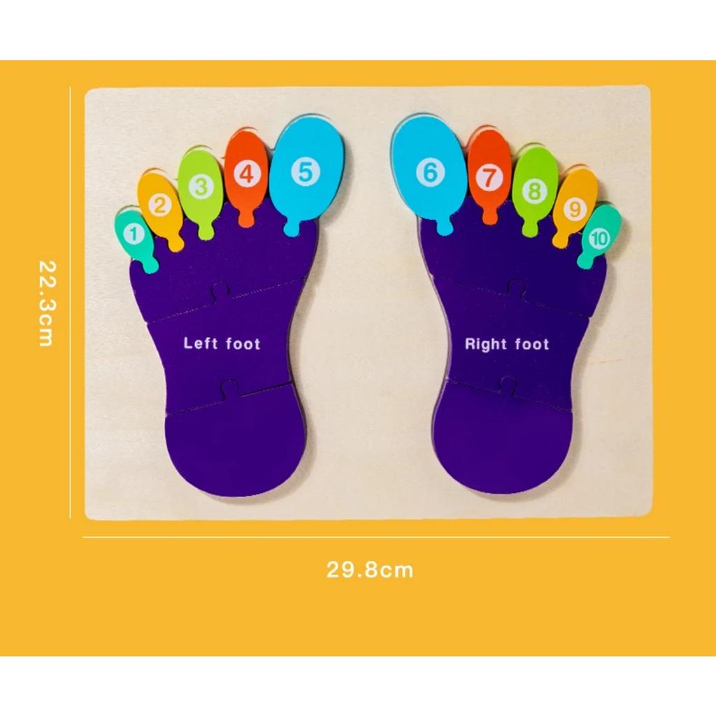 Palm Feet Busy Board Early Learning Educational Toys Puzzles Toddlers Gifts Wood Cognitive Montessori Toys for Children Kids