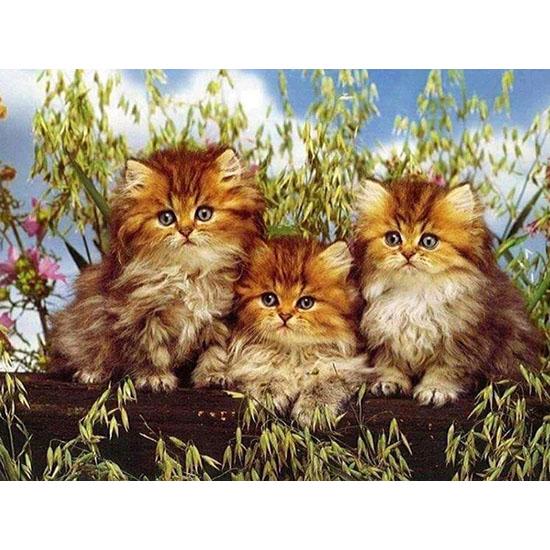 huacan Animals 5D DIY Diamond Painting Embroidery Drill Mosaic Needlework Craft Home Decor