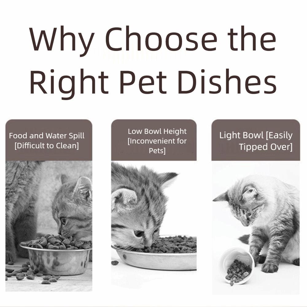 Detachable Cat Food Water Bowl Anti Vomiting Pet Four Legged Bowl Dog Feeding Station  Pet Supplies