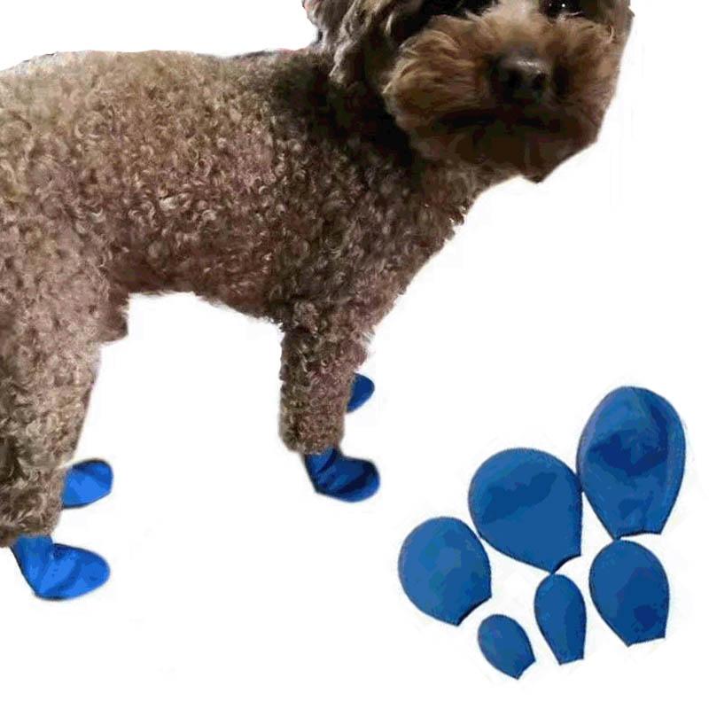 dog balloon boots
